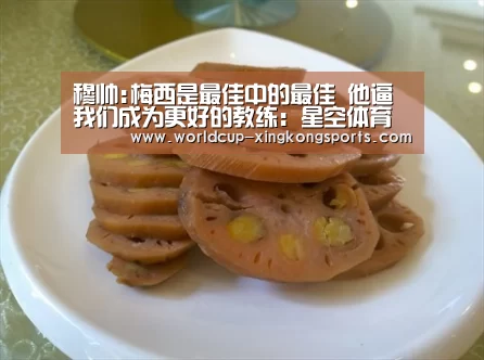 星空体育app团队