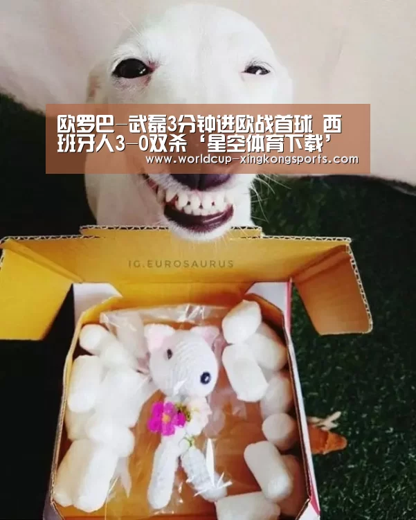 星空体育app官网